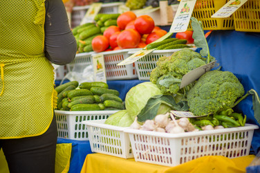 Similar image 1554877