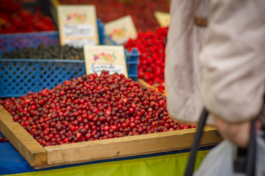 Similar image 1554882