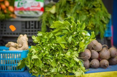 Similar image 1554884