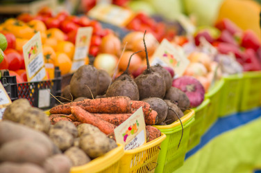 Similar image 1554885