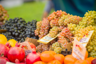 Similar image 1554891