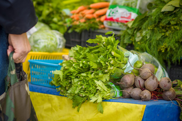 Similar image 1554895