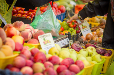 Similar image 1554897