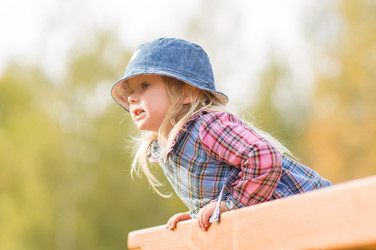 Similar image 1554903