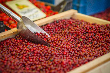 Similar image 1554905