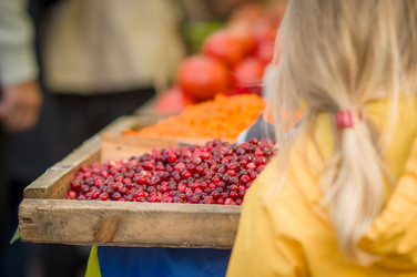 Similar image 1554912