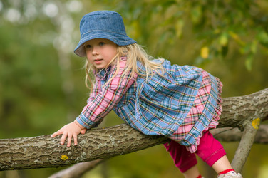 Similar image 1554915