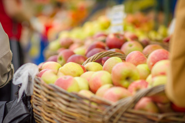 Similar image 1554918