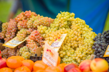 Similar image 1554919