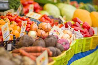 Similar image 1554923