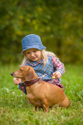 Similar image 1554925