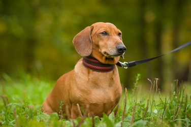 Similar image 1554930