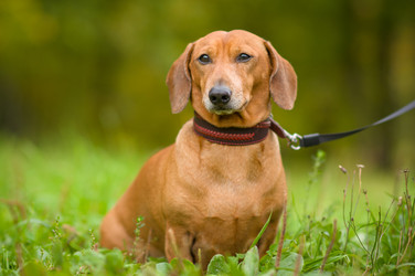 Similar image 1554932