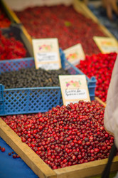 Similar image 1554936