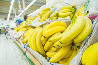 Similar image 1554939