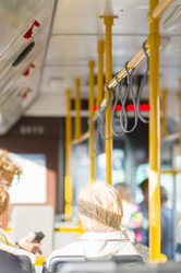 Similar image 1554942