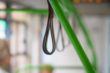 Similar image 1554952