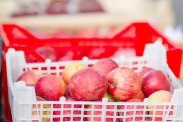 Similar image 1554979