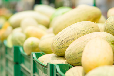 Similar image 1554984