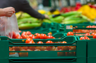 Similar image 1555234