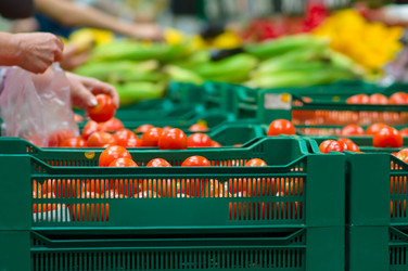 Similar image 1555235