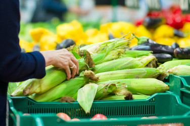 Similar image 1555241