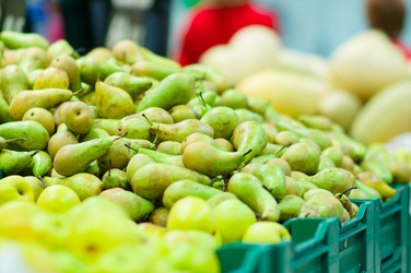 Similar image 1555242