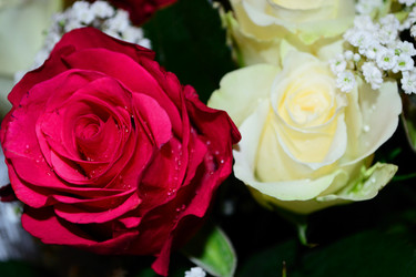 Similar image 1555322