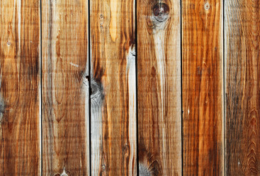 Similar image 1555373