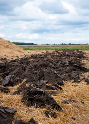 Similar image 1555381