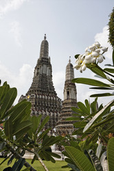 Similar image 1555528