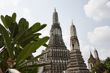 Similar image 1555536