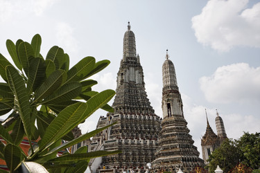 Similar image 1555538