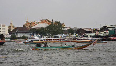 Similar image 1555637