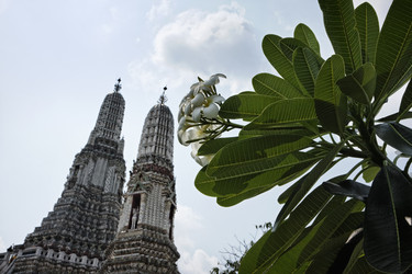 Similar image 1555647