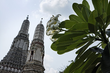 Similar image 1555649