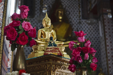 Similar image 1555669