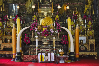 Similar image 1555675