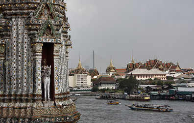 Similar image 1555676