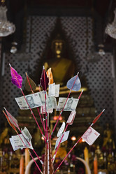 Similar image 1555681