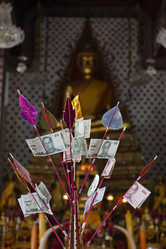 Similar image 1555683