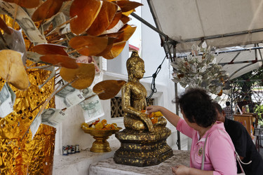 Similar image 1555687