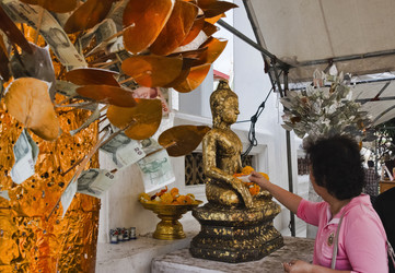 Similar image 1555689