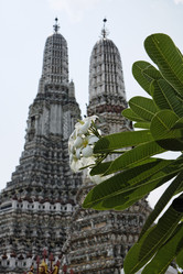 Similar image 1555695