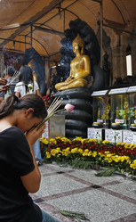 Similar image 1555704