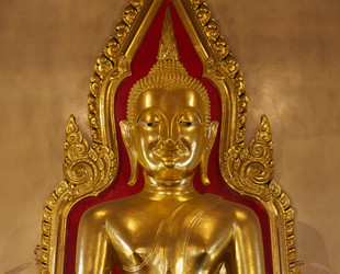 Similar image 1555710