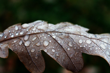 Similar image 1555735