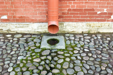 Similar image 1555738