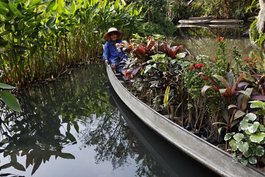 Similar image 1555766