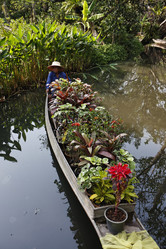 Similar image 1555781